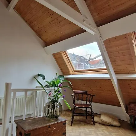 Vijfhoek Vlaming דירה *