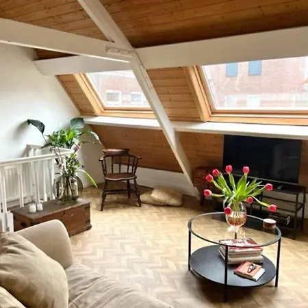 Apartment Vijfhoek Vlaming
